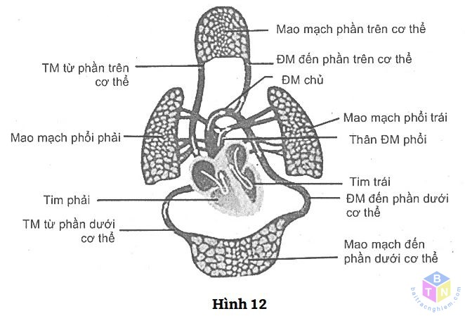 hinh12 de 5